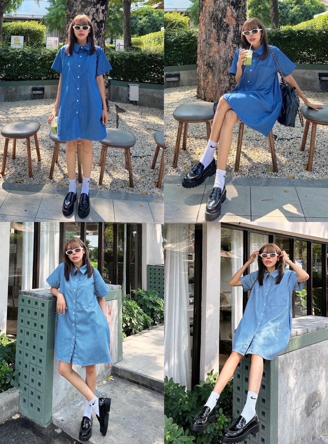 Danny soft denim dress